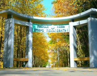 Санаторий "Лесная Новь"