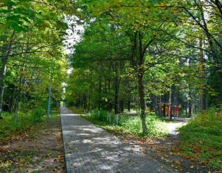 Санаторий "Лесная Новь"