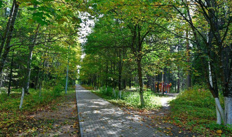 Санаторий "Лесная Новь"